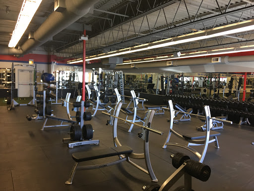 Go M.A.D Fitness