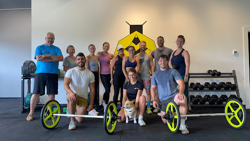 The Hive Fitness
