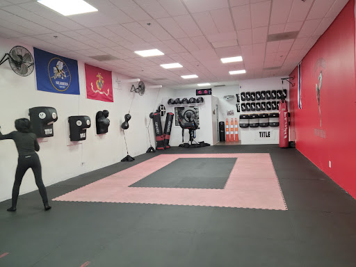 Quinones Muay Thai