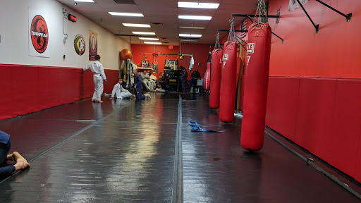 Triumph Brazilian Jiu Jitsu