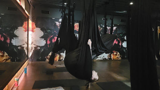 Rosebud\'s Aerial Yoga Studio & Store