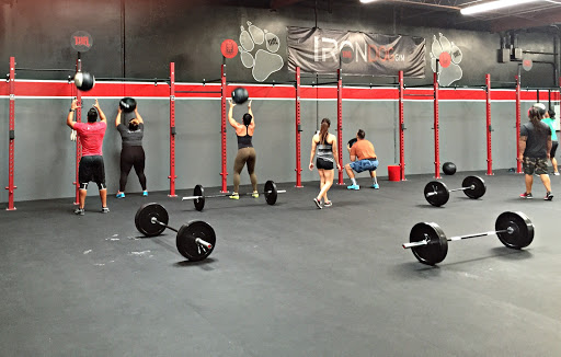 Iron Dog Gym