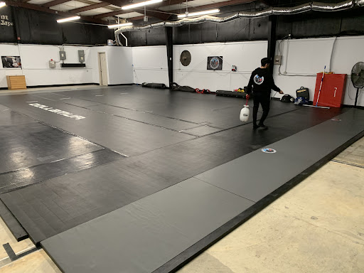 Wise Jiu Jitsu