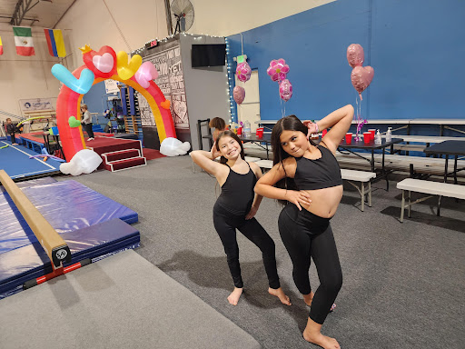 Younique Fitness LLC- (School of Gymnastics  Acrobatics & AMily Fitness)