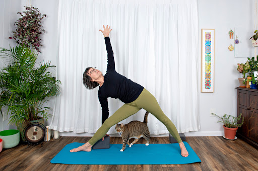 Hudson River Yoga