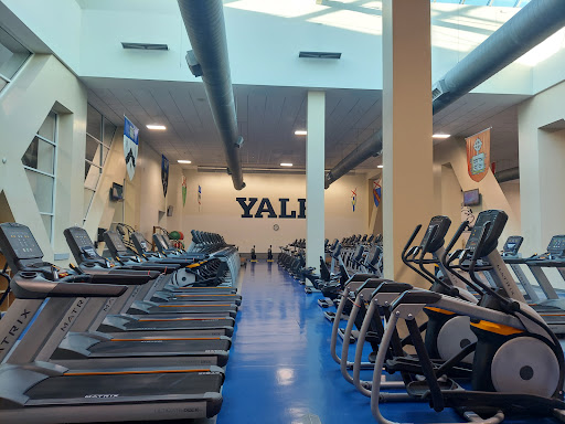 Payne Whitney Gymnasium