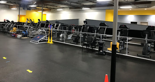 Parkinson Wellness Recovery