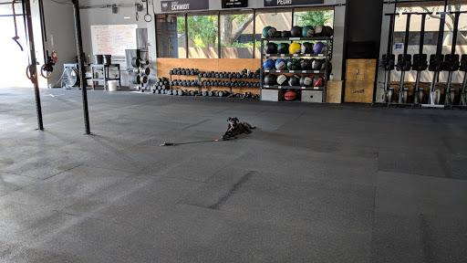 Community Fitness Davis