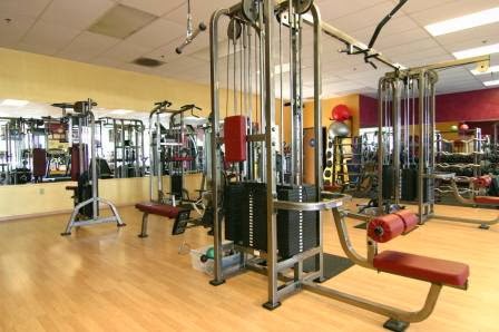 Dimensional Fitness Concepts