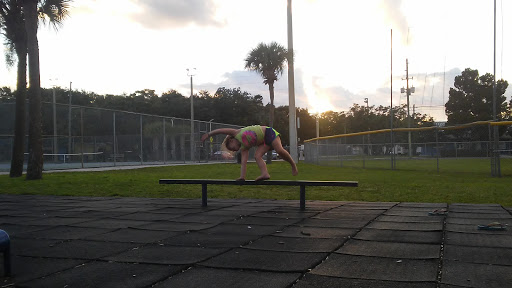 Davis Field Tennis Courts