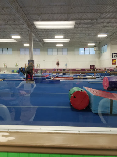 Arena Gymnastics Inc