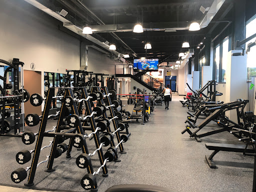 Fitness Factory