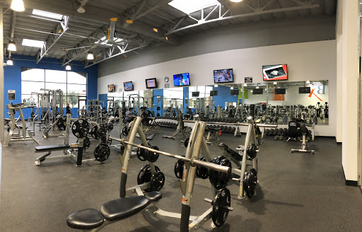 Body Xchange