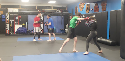 University of Mixed Martial Arts