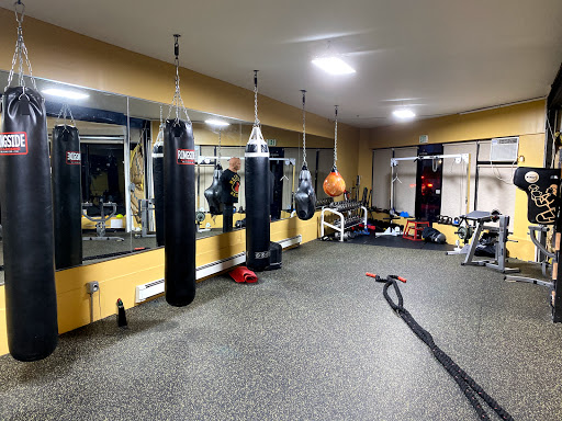 Babylon Boxing