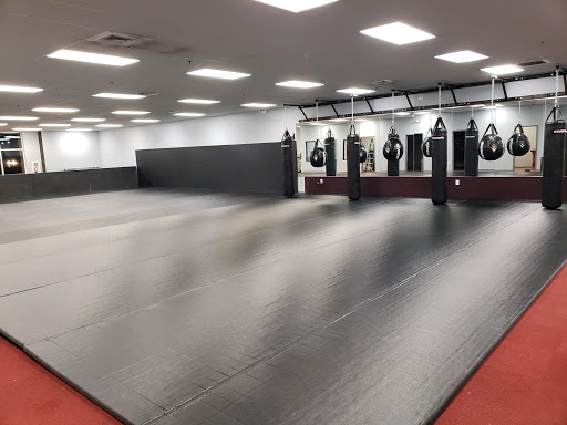 V.I.P. Martial Arts Academy