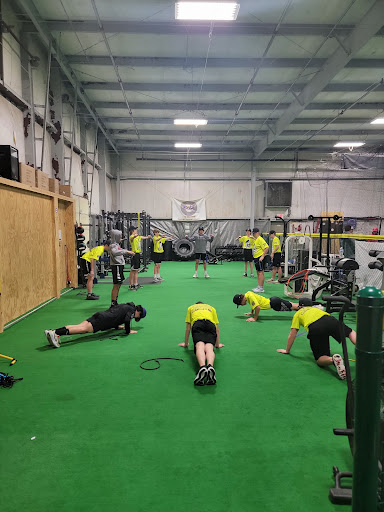The Hitting Zone