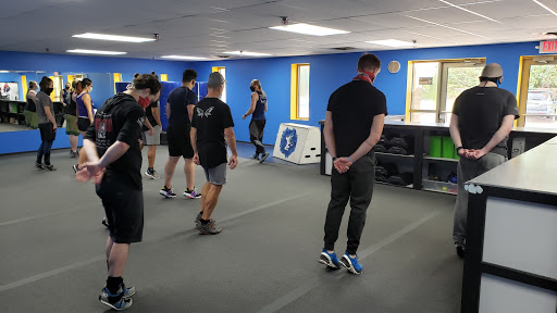 Fight or Flight Academy