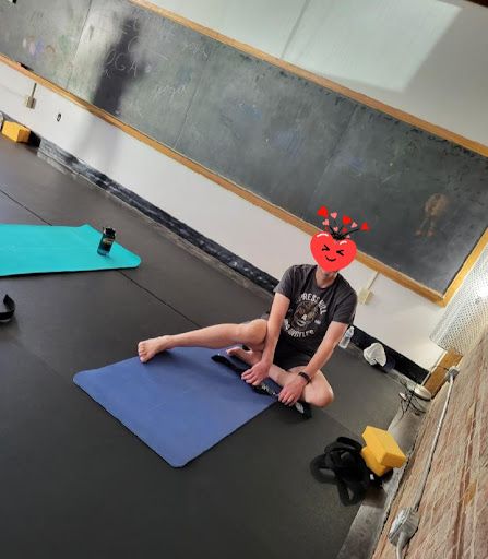 Apocatherapy