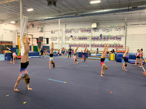 Legacy Academy Gymnastics & Ninja