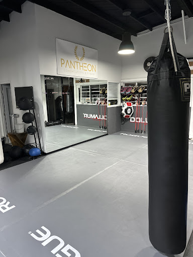 Pantheon Combat Sports & Fitness