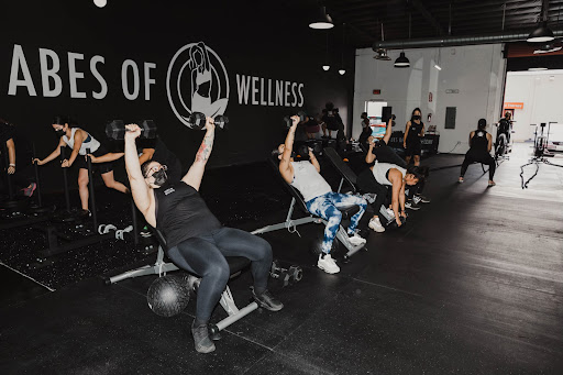 Babes of Wellness