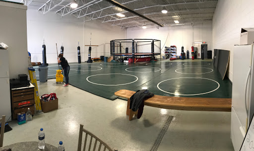Stars and Strikes MMA