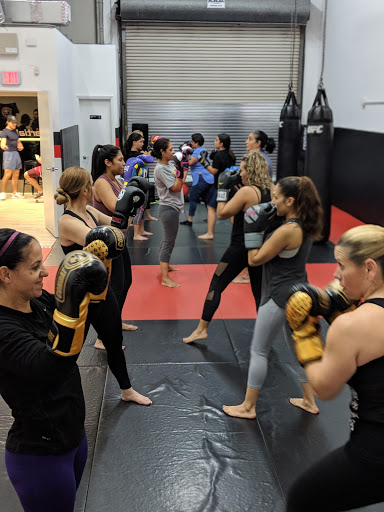 Alers Martial Arts