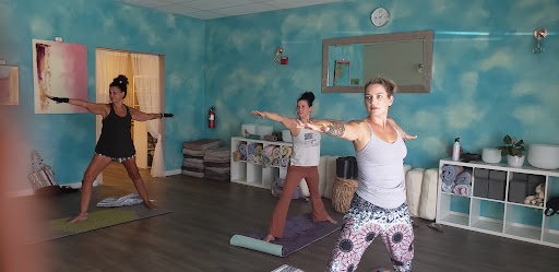 Venus Moon Wellness Boutique