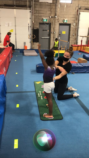 Gymnastic Giants
