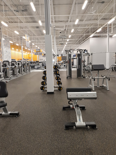 Fit4Less