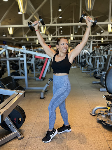 MpShape