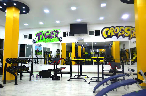 tiger gym ain taya