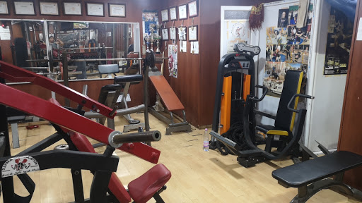 Gym Athletique Powerlifting Warriors