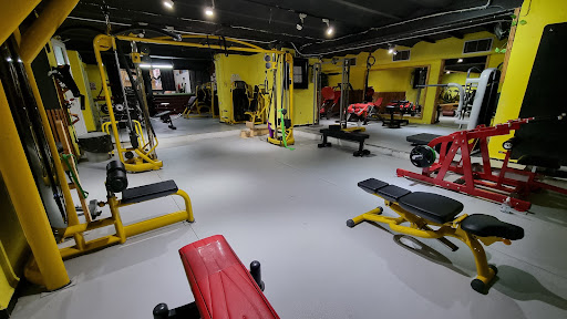 ENERGYM ALGER