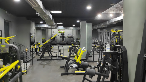 Évolution fitness El biar