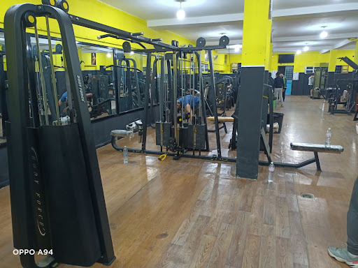 Salle de musculation strongman gym elforkane