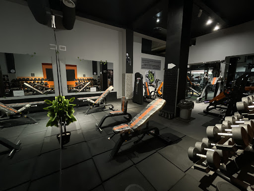 We lift gym