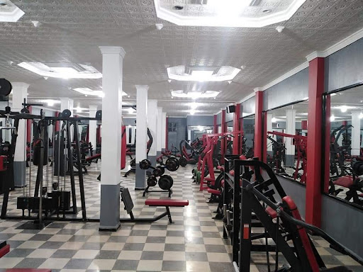 Bodybuilding three