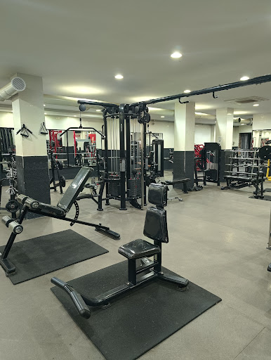 Is power musculation fitness