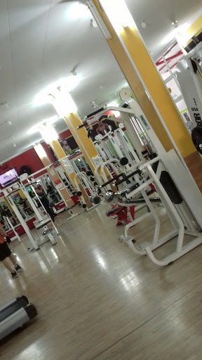 Walid Gym Fitness