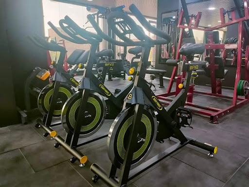 Lynx GYM