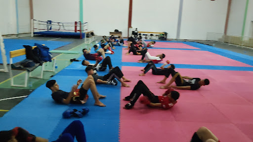 Salle spécialisé sports des combats
