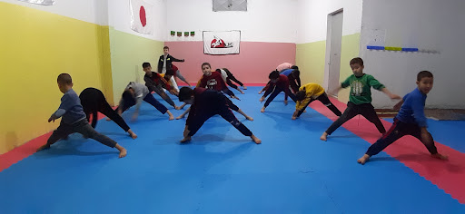 Salle De Sport Taekwondo