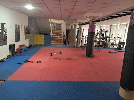 Gym Kick Boxing