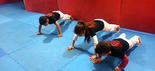 Aikido aikikai école Youssi YAHIA