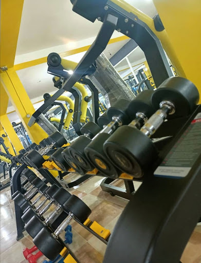 Malik Gym Guelma