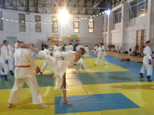 Dojo Karate