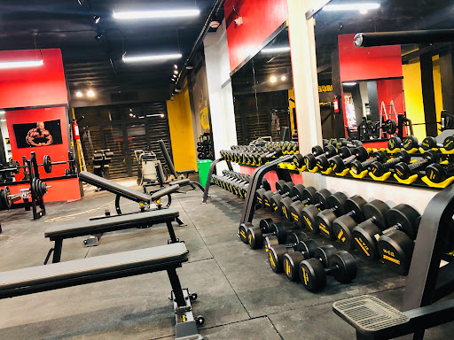 Oxygen Gym Oran