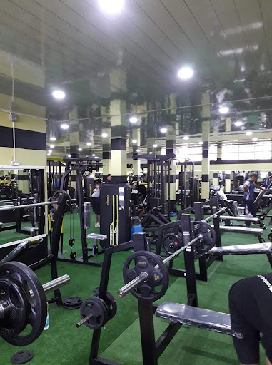 Salle de sports Dragon Gym